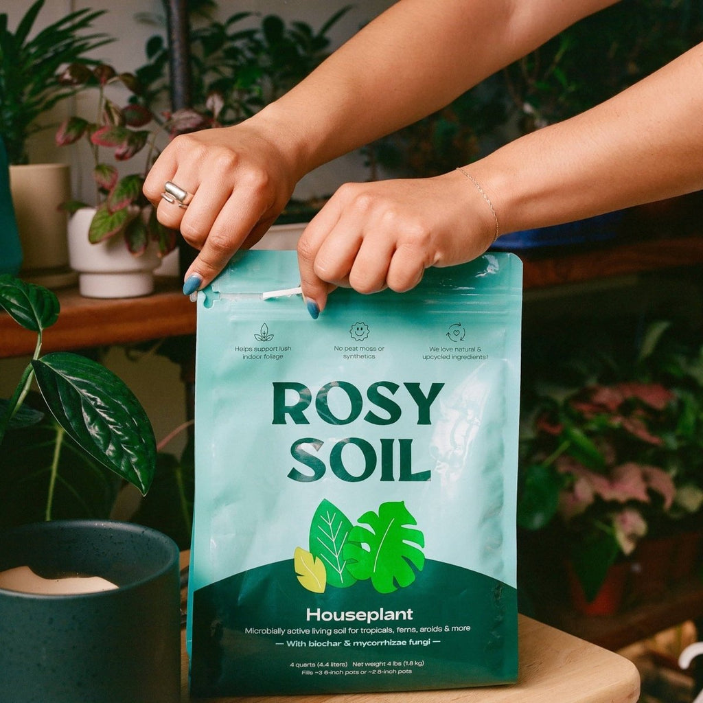 Rosy Soil Organic Indoor Potting Mix- Houseplant 4qt. - Ed's Plant Shop