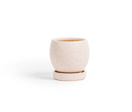 Round Bollé Planter Pot 4.5 Inch- White Sesame - Ed's Plant Shop