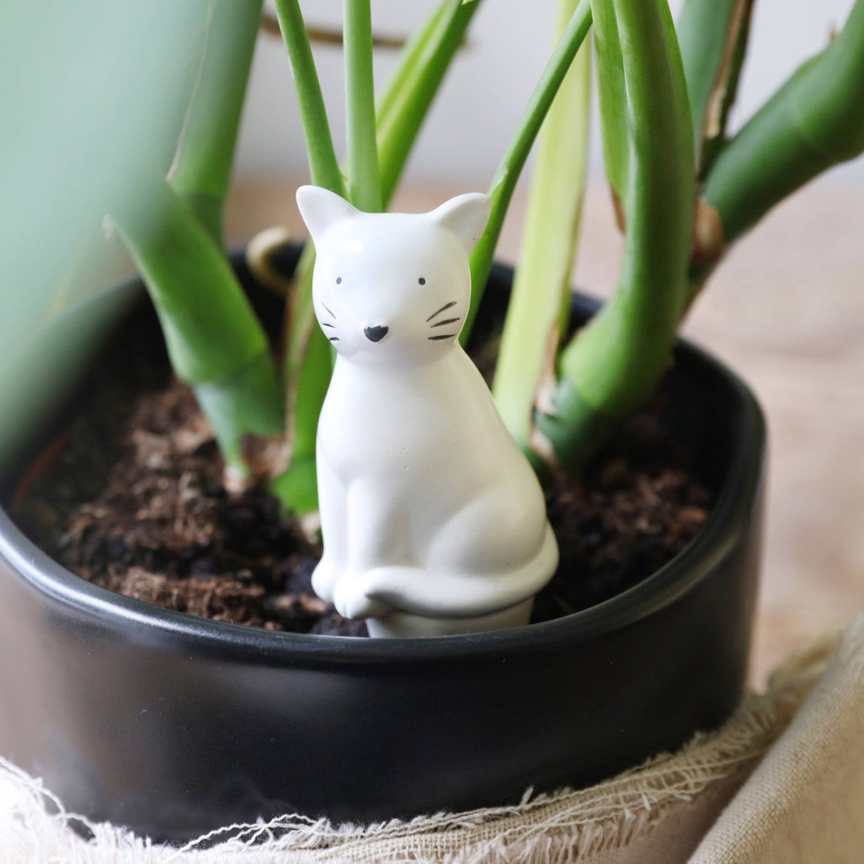 Self Watering Device - Cat - Ed's Plant Shop