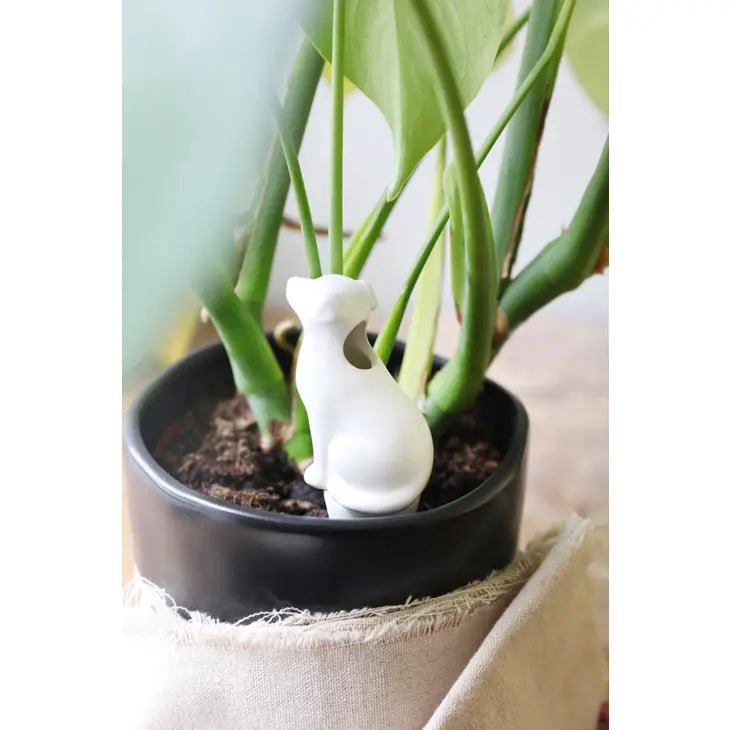 Self Watering Device - Dog - Ed's Plant Shop
