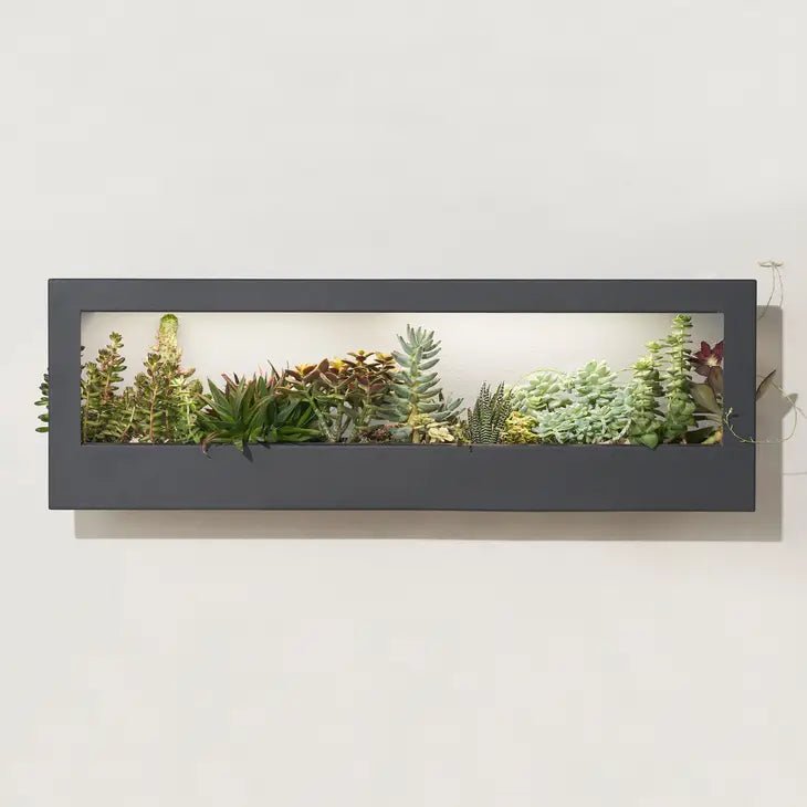 Smart Led Light Landscape Growframe - Ed's Plant Shop