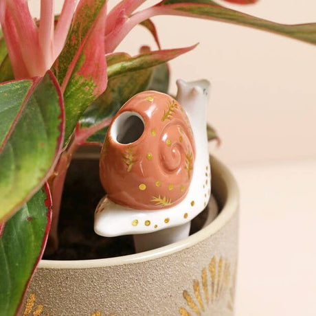 Snail Plant Watering Spike - Ed's Plant Shop