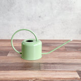 Stainless Steel Long Spout Watering Can 0.9 Liter - Ed's Plant Shop