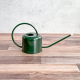 Stainless Steel Long Spout Watering Can 0.9 Liter - Ed's Plant Shop