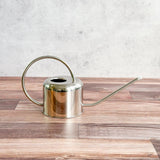 Stainless Steel Long Spout Watering Can 0.9 Liter - Ed's Plant Shop