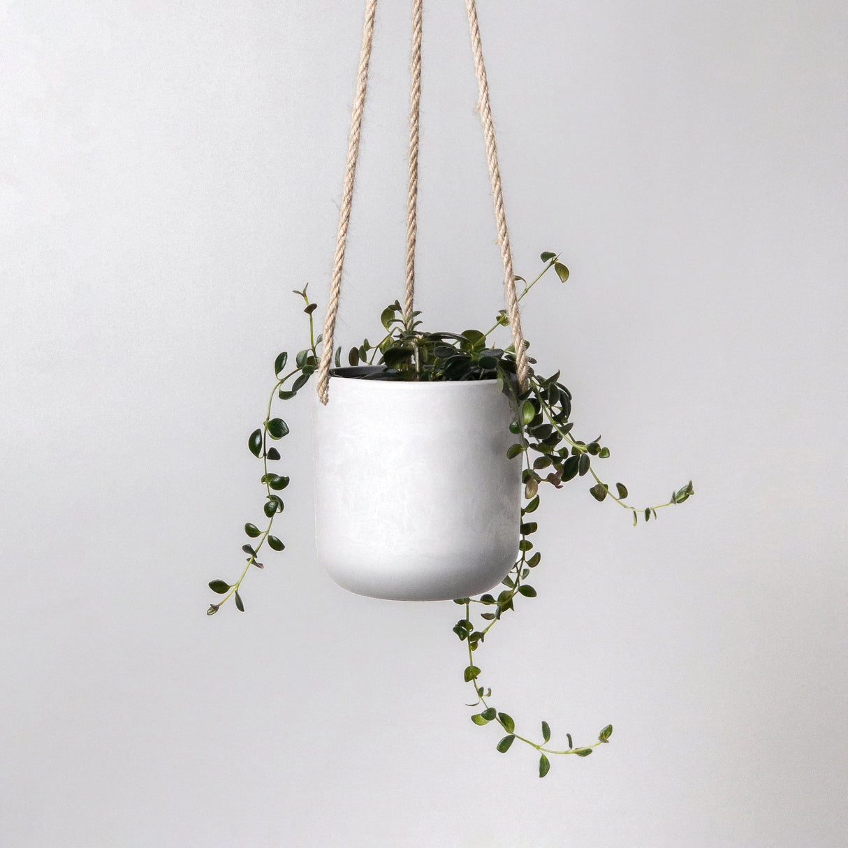 Stone Hanging Planter Pot - 4" - Ed's Plant Shop