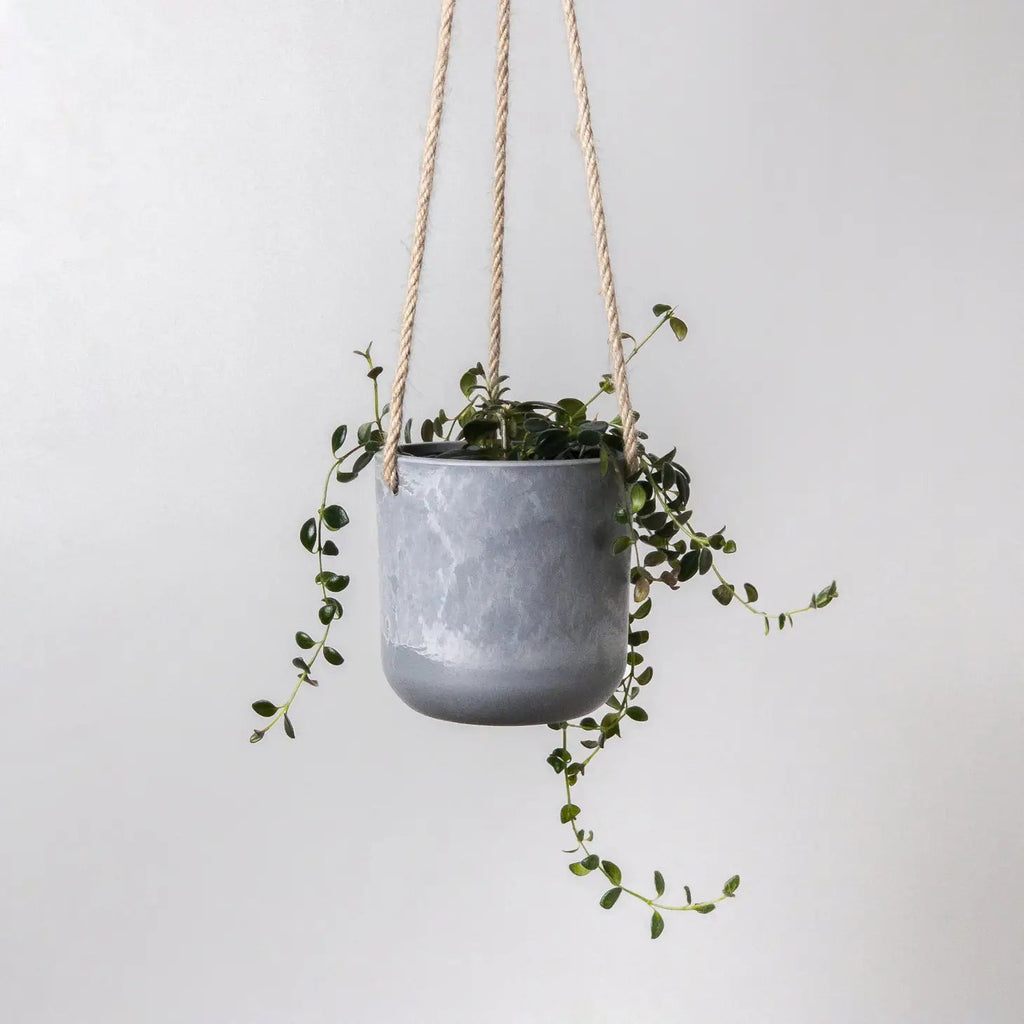 Stone Hanging Planter Pot - 4" - Ed's Plant Shop