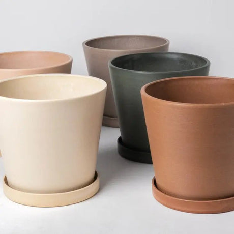 Tapered Signature Planter Pot & Saucer Set | 7" - Ed's Plant Shop