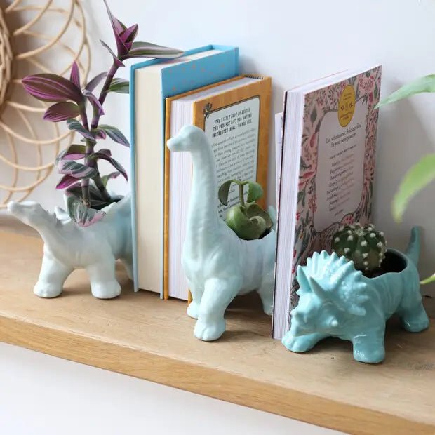 Teal Triceratops Dinosaur Planter - Ed's Plant Shop