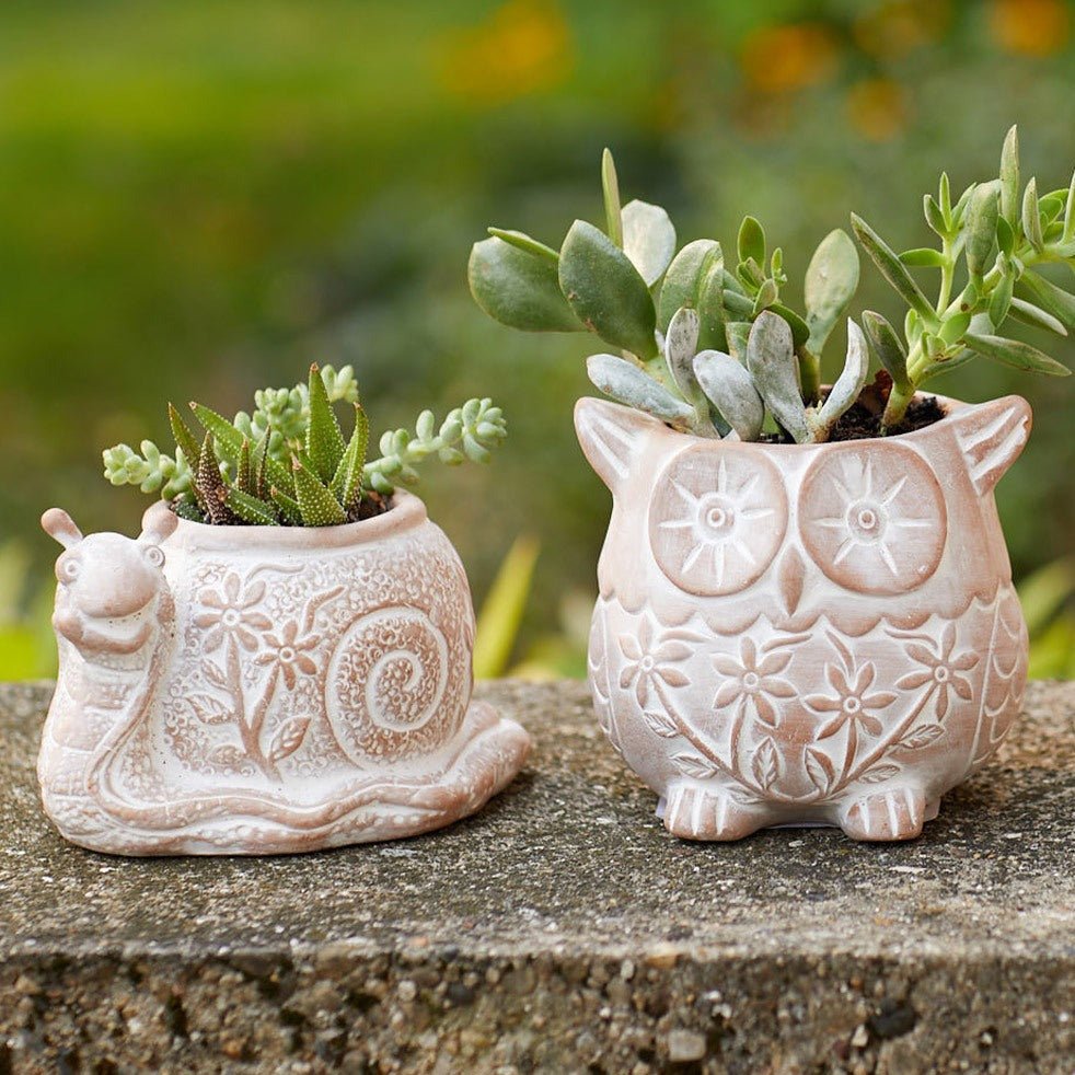 Terracotta Owl Planter Pot - Ed's Plant Shop