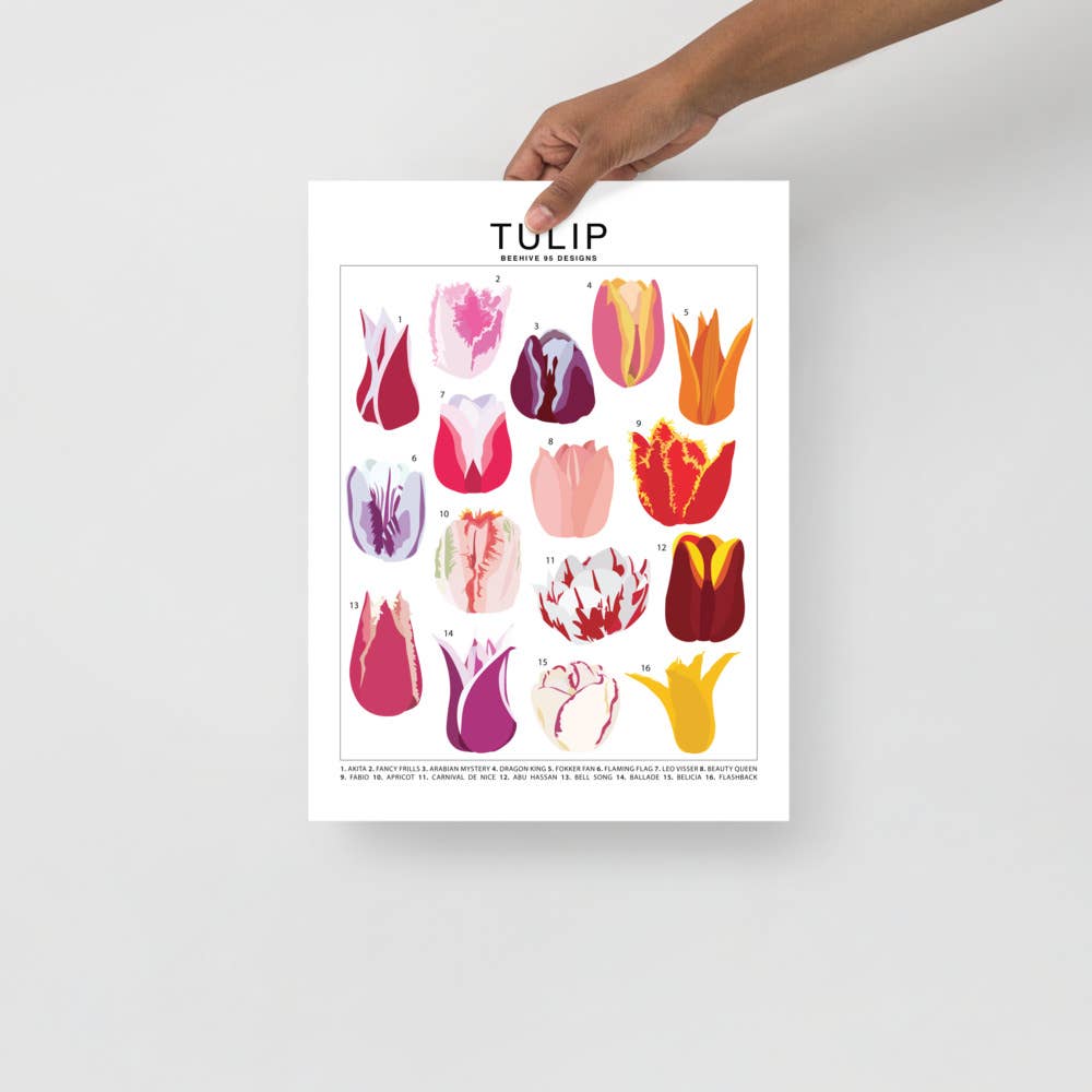 Tulip Species ID Chart - Botanical Floral Art Print - Ed's Plant Shop