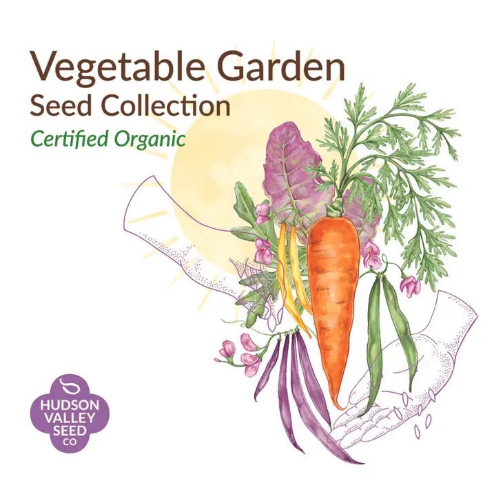 Vegetable Garden Gift Box 6-Pack - Ed's Plant Shop