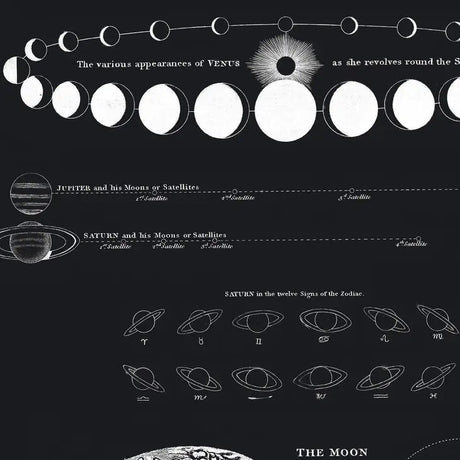 Vintage-Style Astronomy Moon Map and Venus Print - Ed's Plant Shop