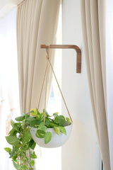 Walnut & Birch Wall Hanger - Ed's Plant Shop