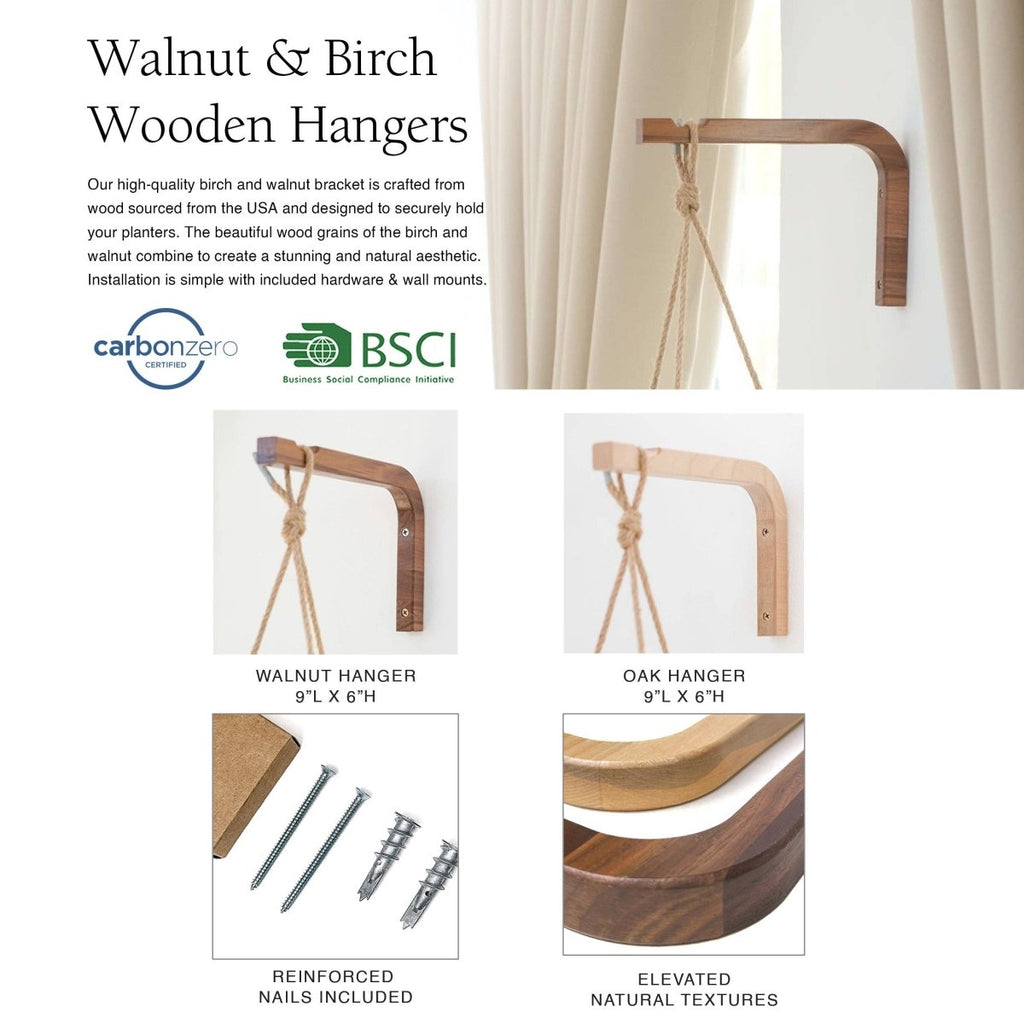 Walnut & Birch Wall Hanger - Ed's Plant Shop