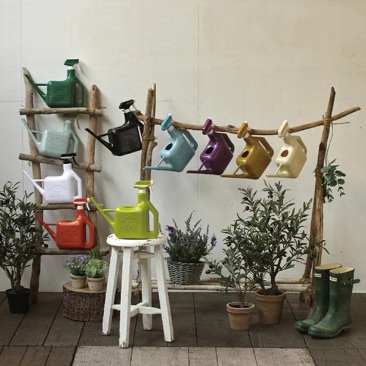 Watering Can and Spray Sprinkler - Various Colors Available - Ed's Plant Shop