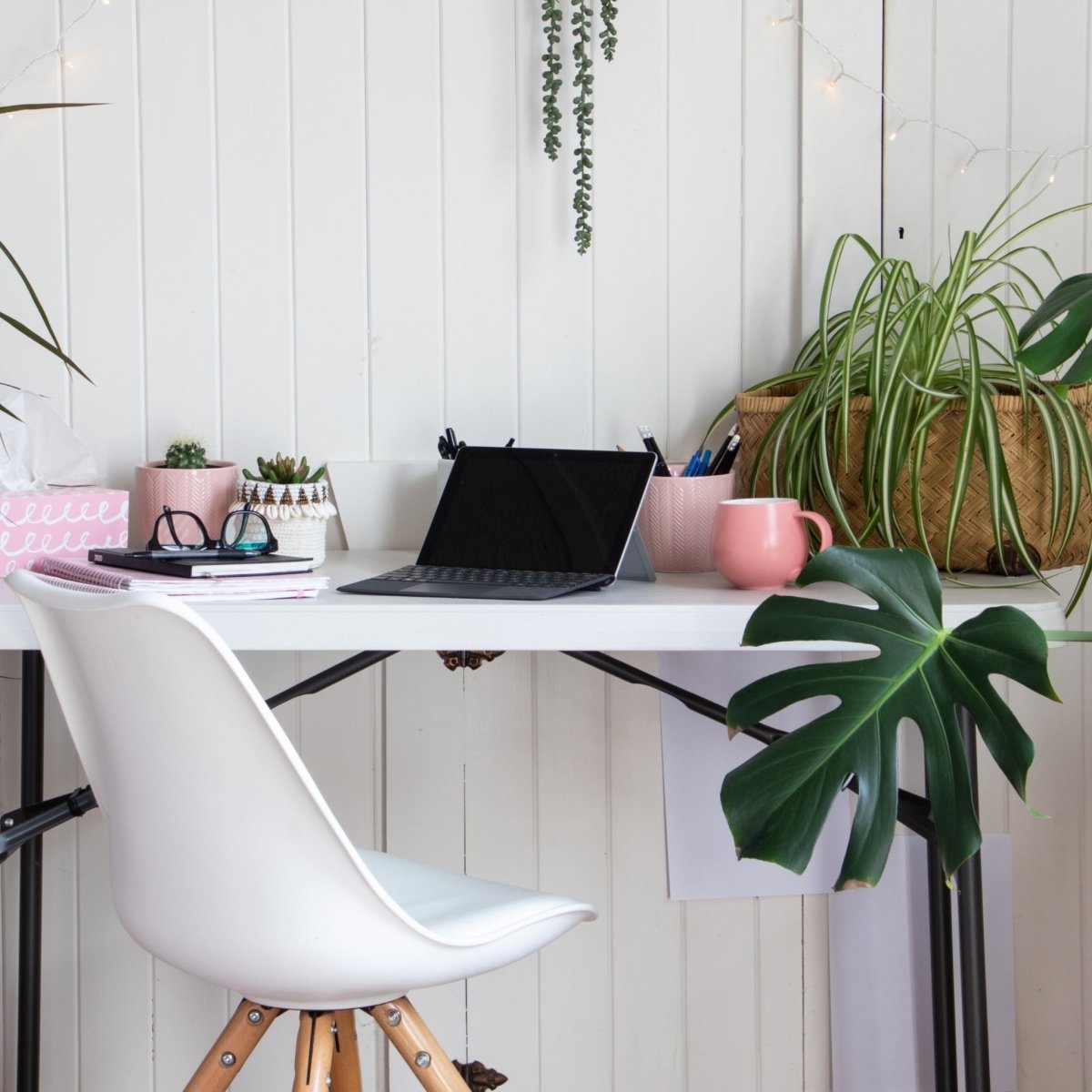 Desk setup decorated with six small indoor plants for workspace styling