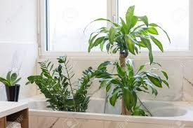 Bathtub Method