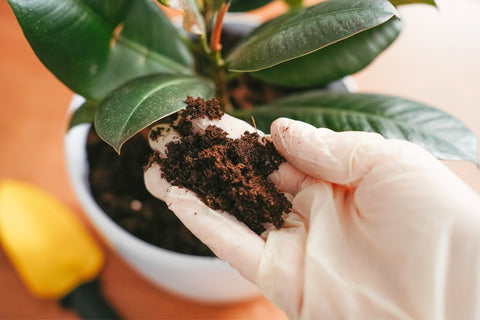 High Quality Potting Soil For Houseplants