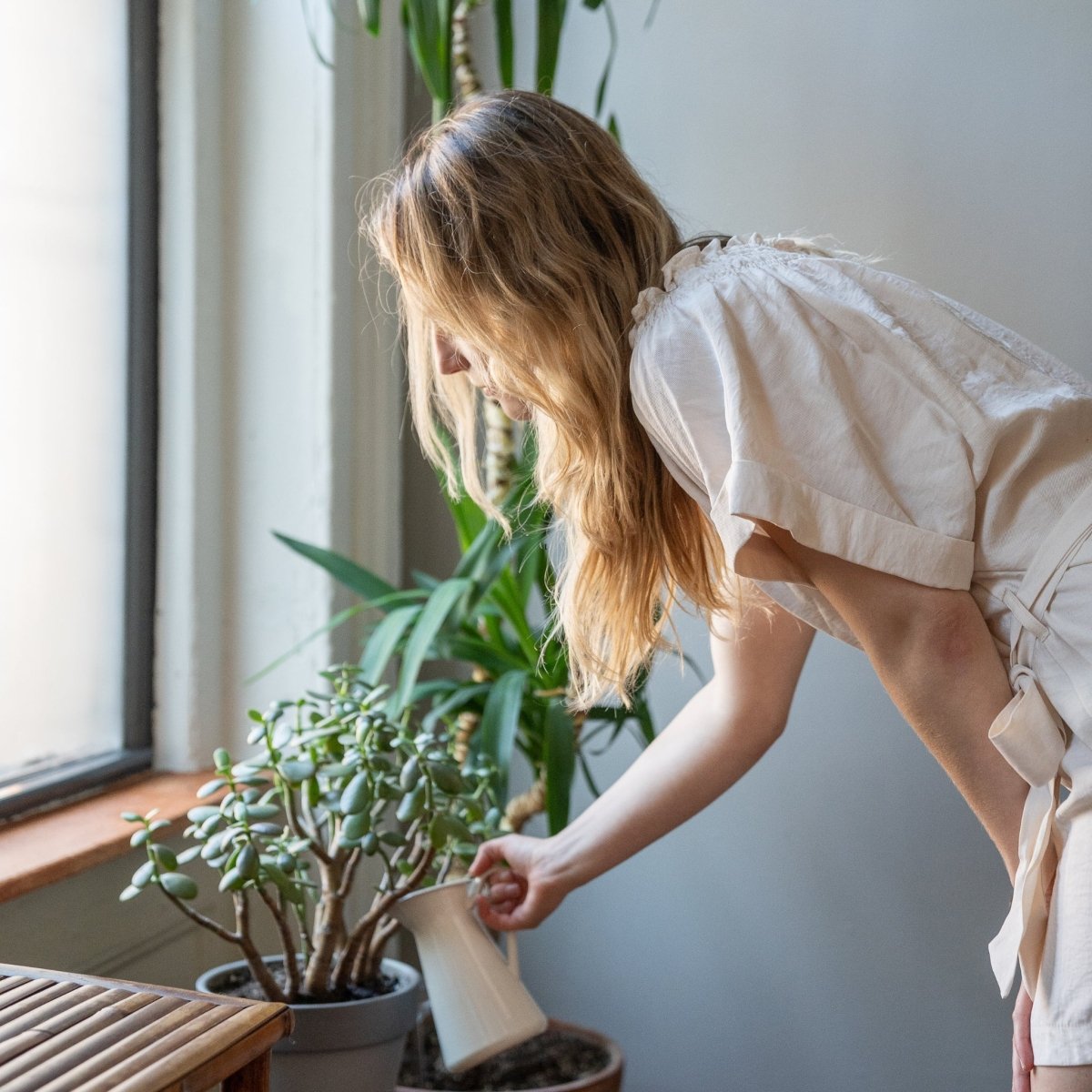 Liquid houseplant fertilizer being poured into a watering can
