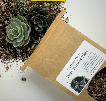 Soil For Cacti and Succulents