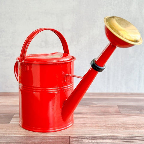 9 liter galvanized watering can with removable sprinkler
