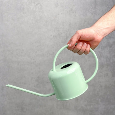 Cascade stainless steel 1 liter watering can