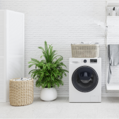 Interior Plantscaping Boosts Mood