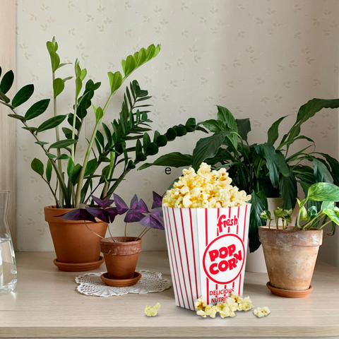 Stress-Induced Plant Pops: Nature's Astonishing Reaction
