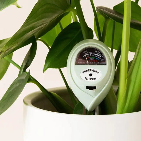 3 in 1 Moisture Meter - Blue - Ed's Plant Shop