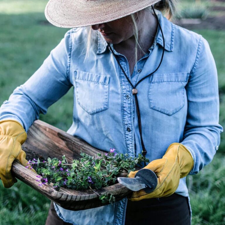 Useful gardening gadgets and tools arranged on a tabletop