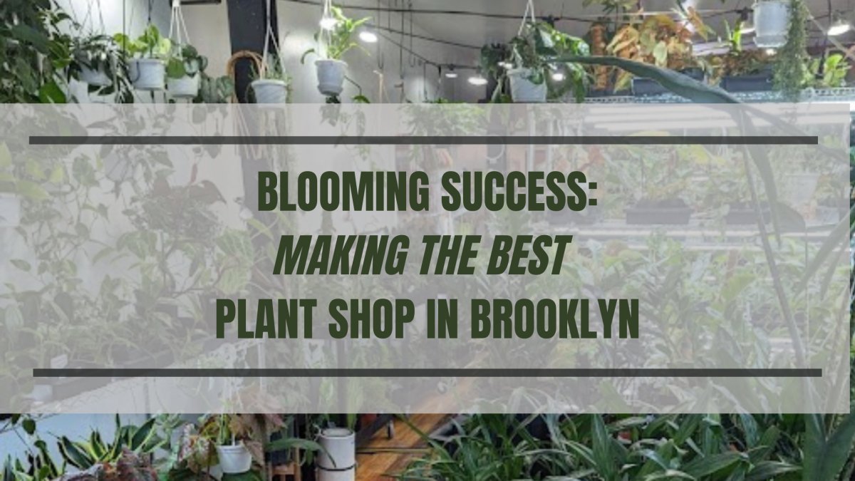 Indoor plant shop display featuring lush greenery and styled shelving