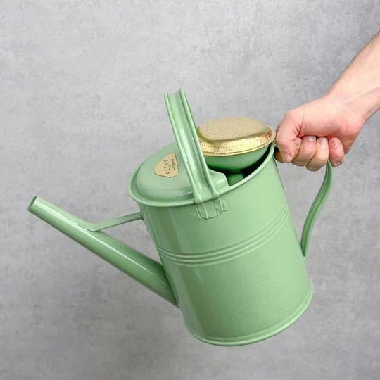 Metal watering cans arranged beside indoor plants for stylish plant care
