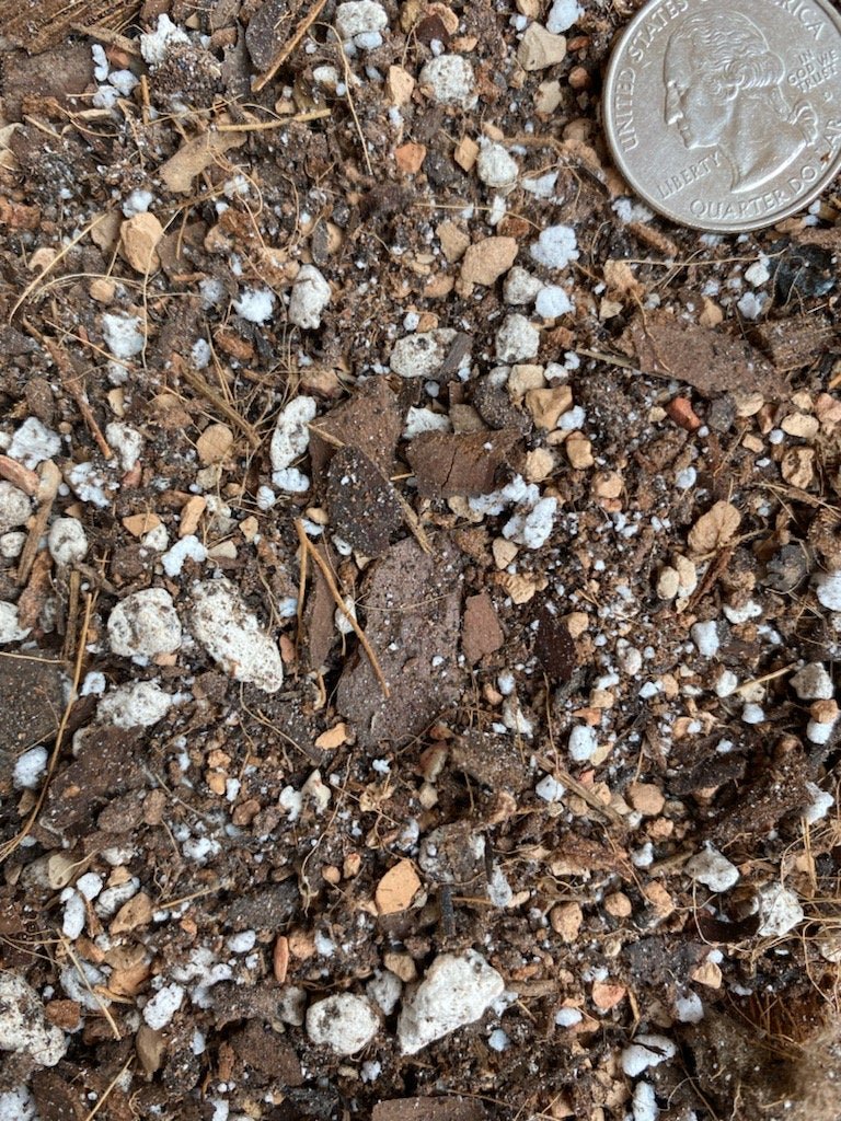Chunky aroid soil mix for Monstera deliciosa roots