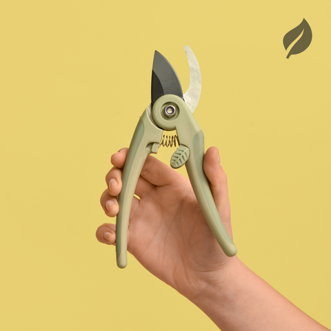 Hand Holding Pruners