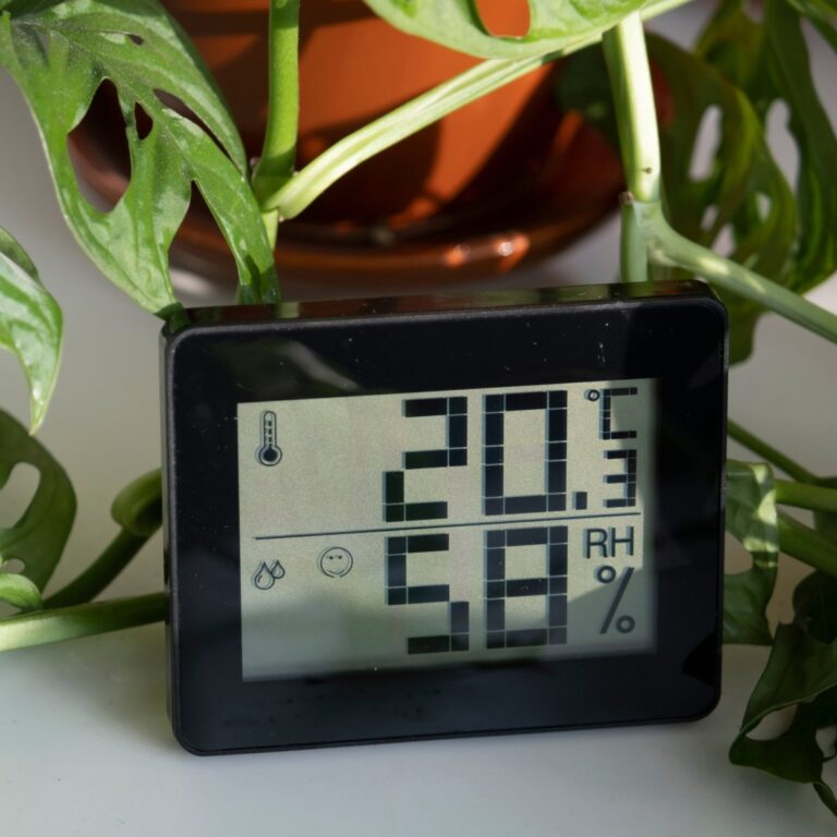 Humidifier running beside indoor houseplants to raise humidity levels
