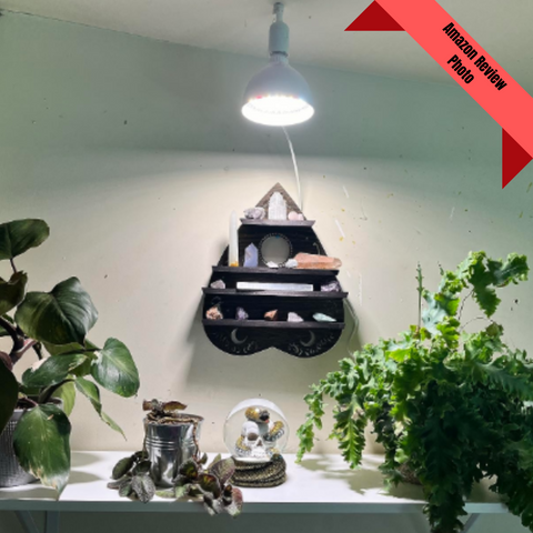 What We Love On Amazon - Grow Lights - Ed's Plant Shop