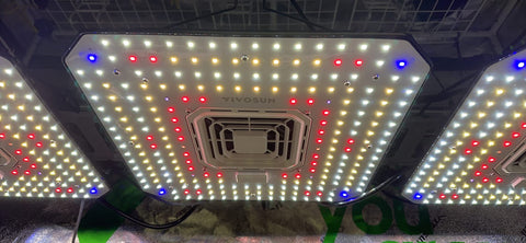 What We Love On Amazon - Grow Lights - Ed's Plant Shop