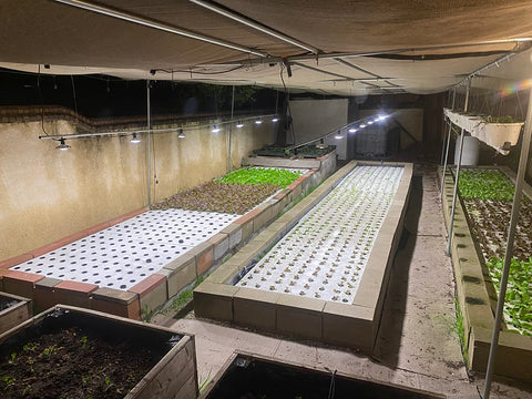 What We Love On Amazon - Grow Lights - Ed's Plant Shop
