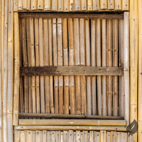 bamboo