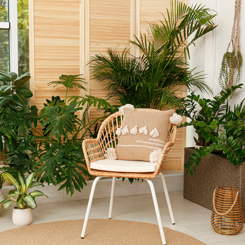 Embrace The Wild: Jungle Style As A Modern Interior Design Trend