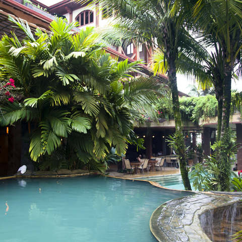 Essential Tips For Building A Jungle House