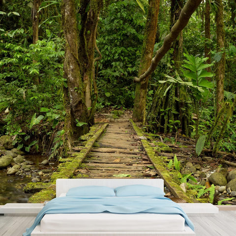 Jungle Wall Art