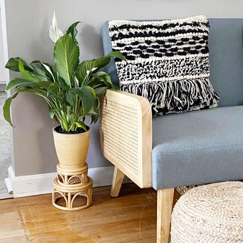 Rattan Plant Stand For Jungle Designs