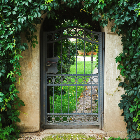 Transform Your Entryway: 4 Jungle Door Decor Ideas