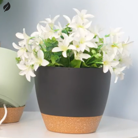 Best Self-Watering Planter For Sale