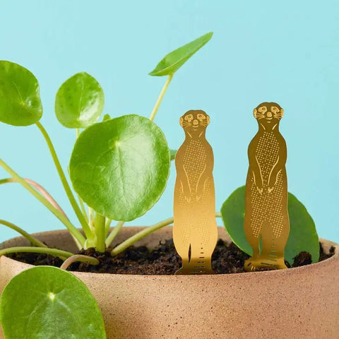 Small brass Plant Animals -