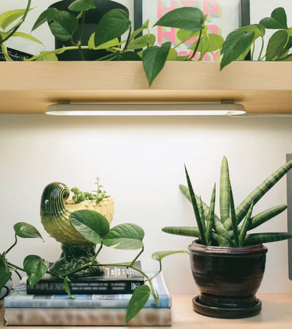 Under Cabinet Grow Light