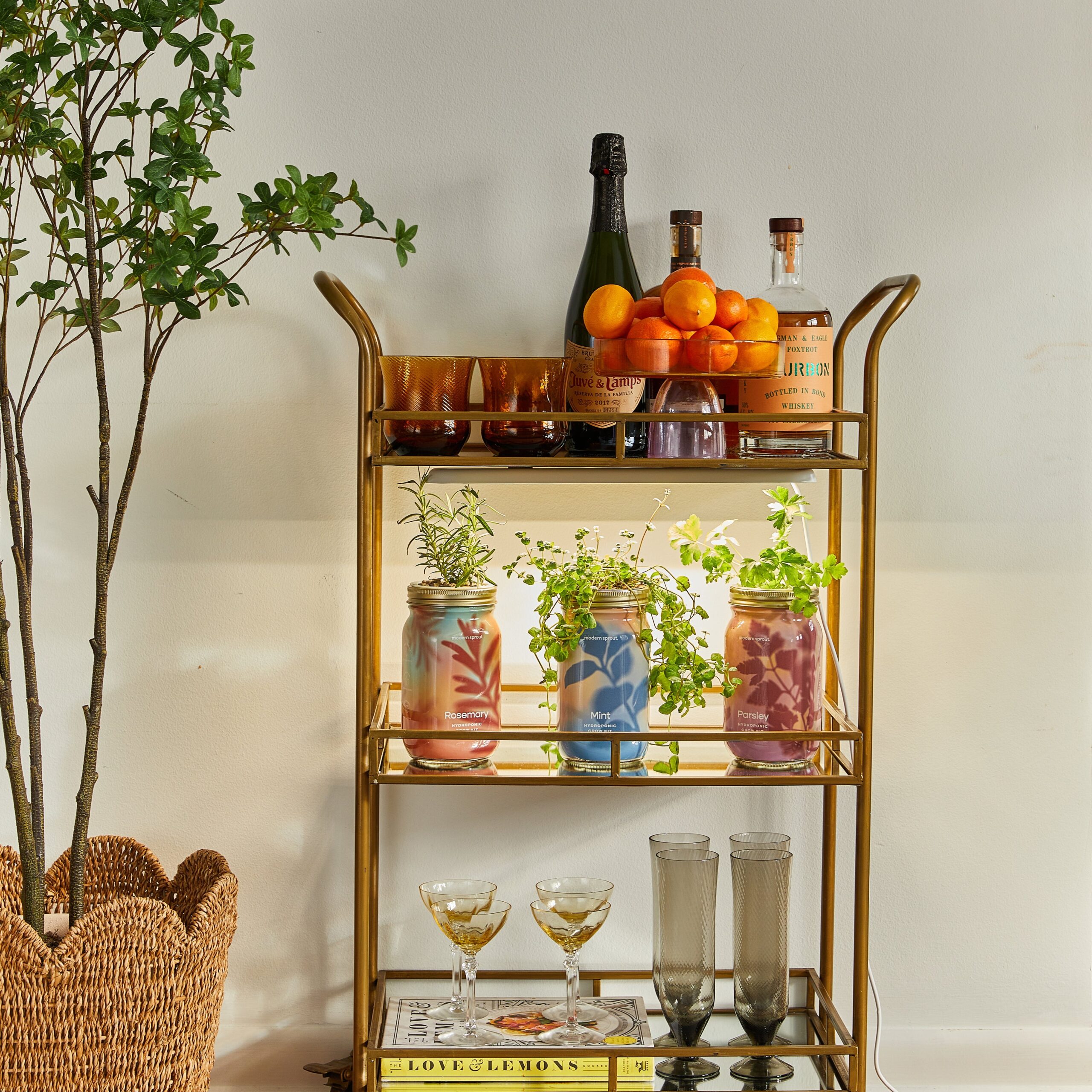 Bar cart styled as a mobile indoor plant display
