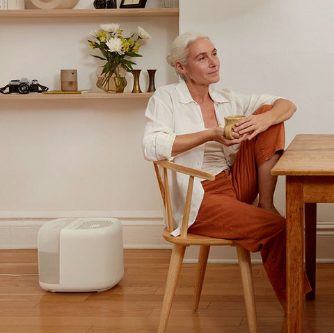 Humidifier For Fiddle Leaf Fig